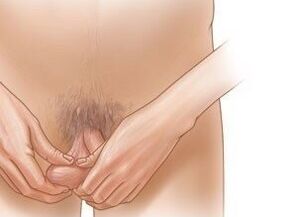 Jeling exercises to increase the penis